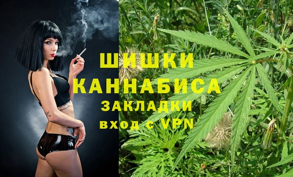 трава Горно-Алтайск