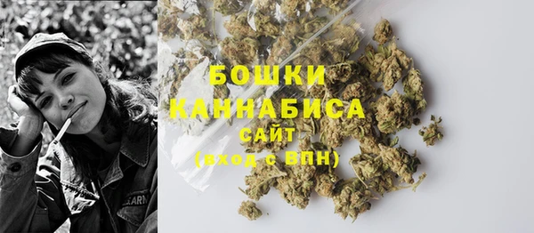 дживик Горнозаводск